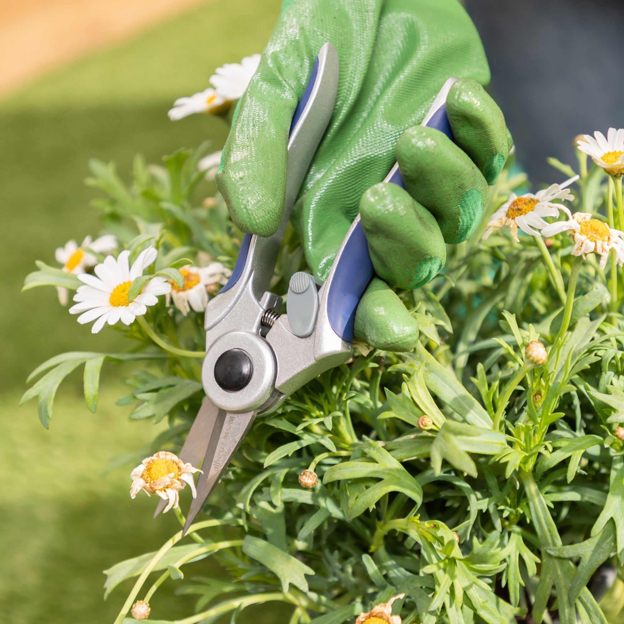 Alfresia Garden Bypass Pruner & Garden Secateurs Set