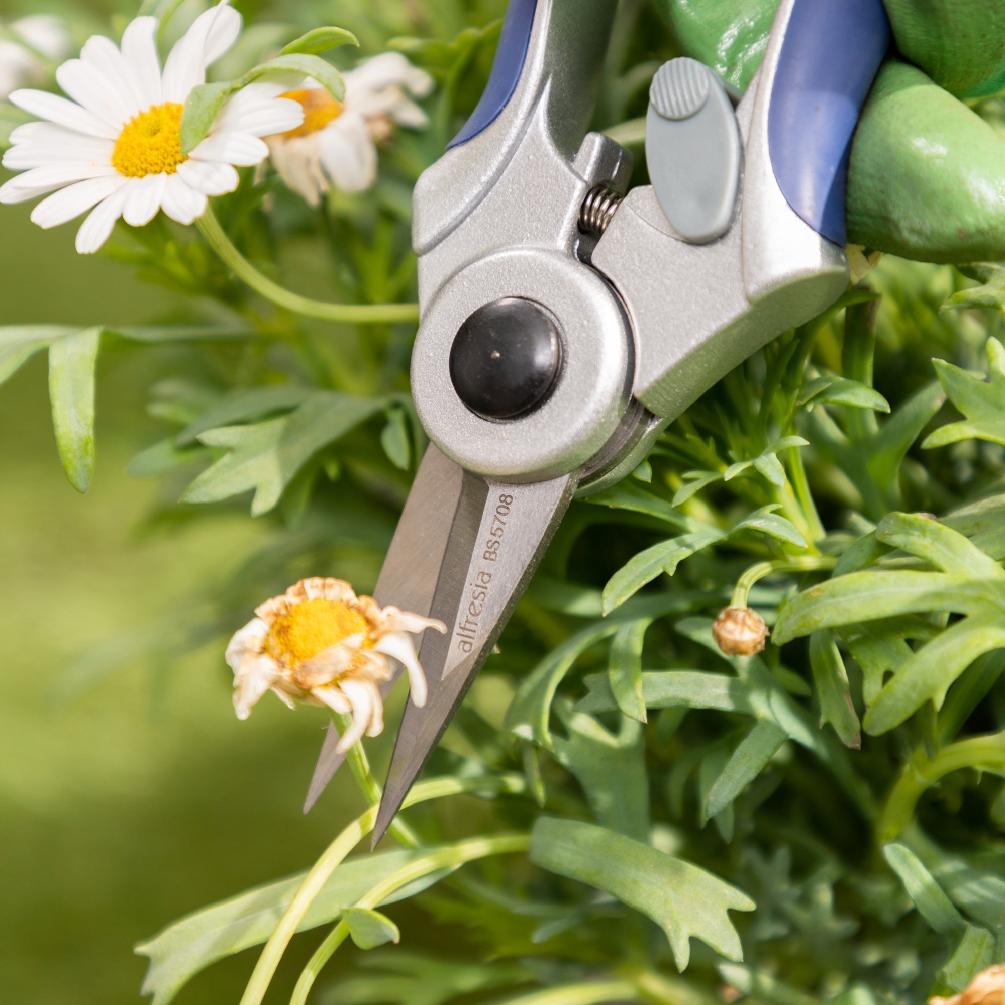 Alfresia Garden Bypass Pruner & Garden Secateurs Set